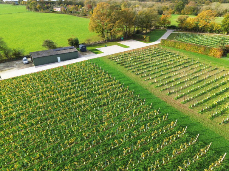 Vineyards Services by Heathcote Holdings